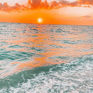 Meet your Posher, Isabella